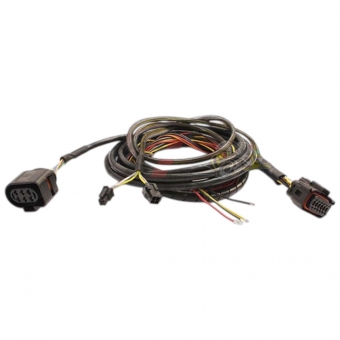 CHICOTE WB-O2 NANO / NANO PRO - FUELTECH