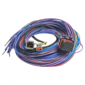 CHICOTE PEAK AND HOLD PRO INJECTOR DRIVER / 2M