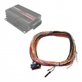 CHICOTE FTSPARK- 6 - BLINDADO