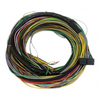 CHICOTE MAIN - FUELTECH